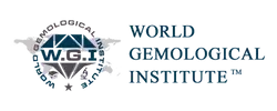 WGI logo
